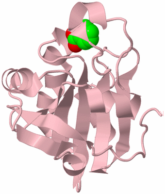 Image Biological Unit 3