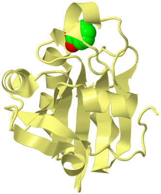 Image Biological Unit 4