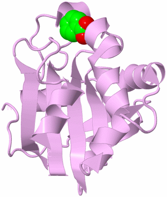 Image Biological Unit 5