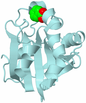 Image Biological Unit 6