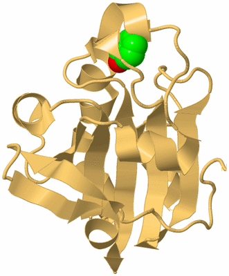 Image Biological Unit 7