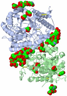 Image Asymmetric Unit