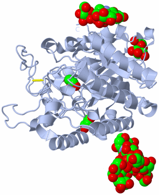 Image Biological Unit 1