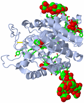 Image Biol. Unit 1 - sites