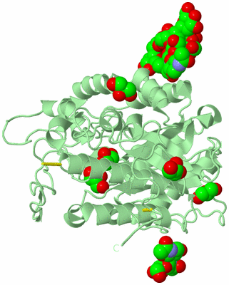 Image Biological Unit 2