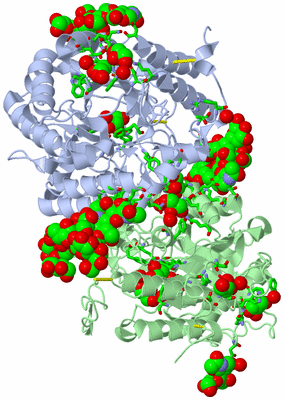 Image Asym. Unit - sites