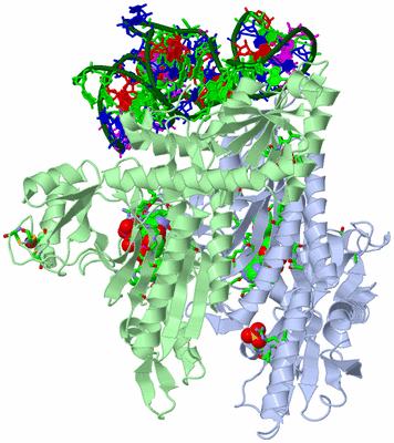 Image Asym./Biol. Unit - sites