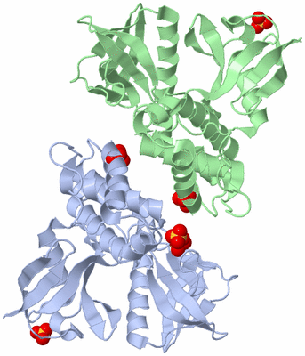 Image Asym./Biol. Unit