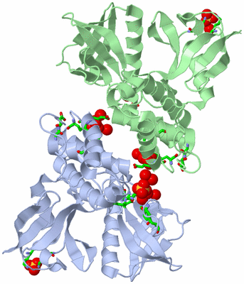 Image Asym./Biol. Unit - sites