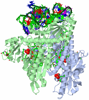 Image Asym./Biol. Unit - sites