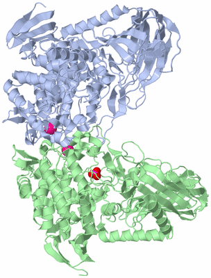 Image Asym./Biol. Unit