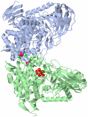 Image Asym./Biol. Unit - sites