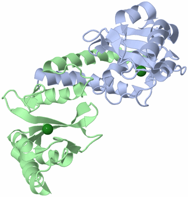 Image Asym./Biol. Unit