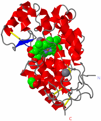 Image Asym./Biol. Unit