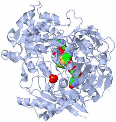 Image Biological Unit 1