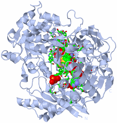 Image Biol. Unit 1 - sites