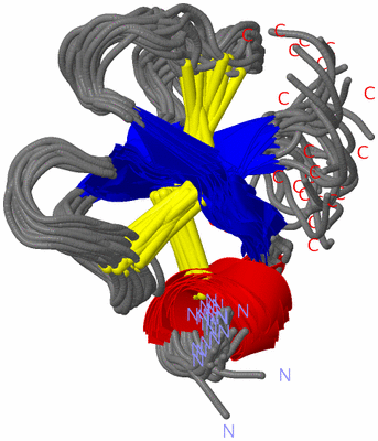 Image NMR Structure - all models