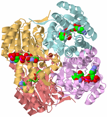 Image Biological Unit 2