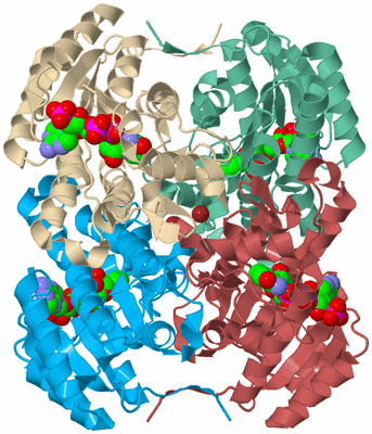 Image Biological Unit 3