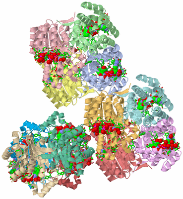 Image Asym. Unit - sites