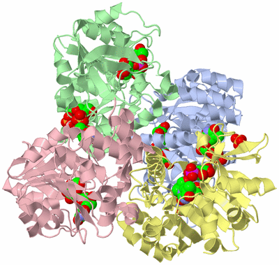 Image Asym./Biol. Unit