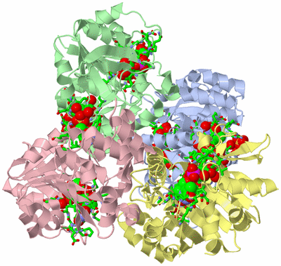 Image Asym./Biol. Unit - sites