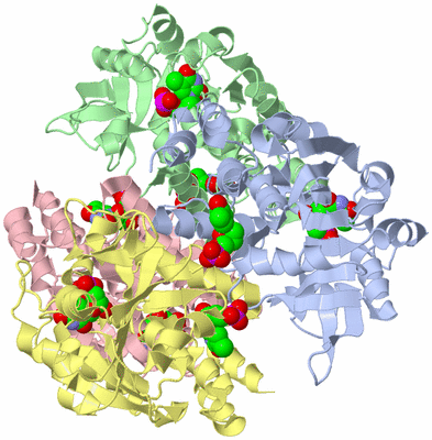 Image Asym./Biol. Unit