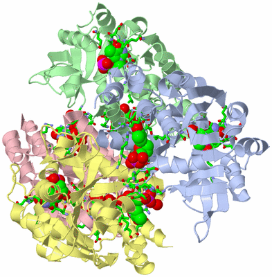 Image Asym./Biol. Unit - sites