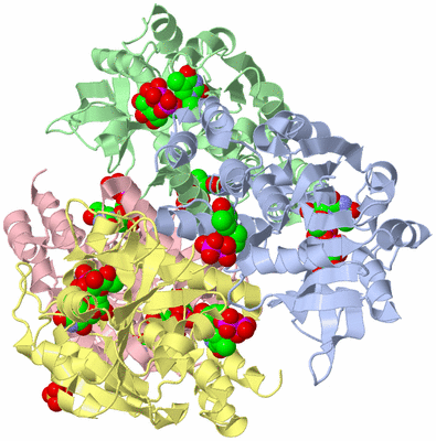 Image Asym./Biol. Unit