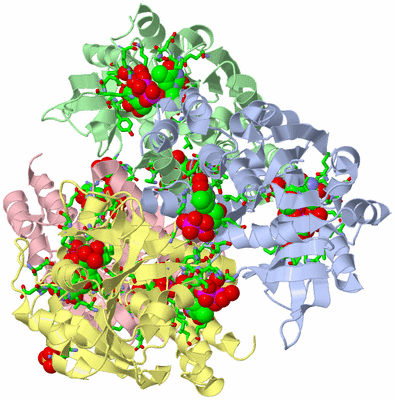 Image Asym./Biol. Unit - sites