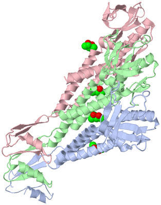 Image Asymmetric Unit