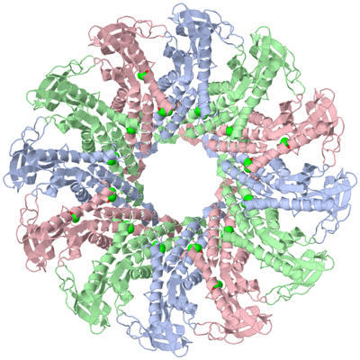 Image Biological Unit 1