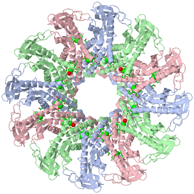 Image Biol. Unit 1 - sites