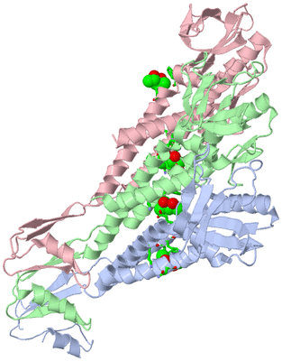 Image Asym. Unit - sites