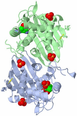 Image Asym./Biol. Unit