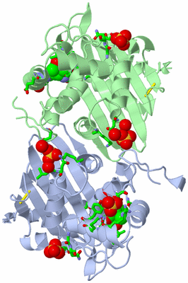 Image Asym./Biol. Unit - sites