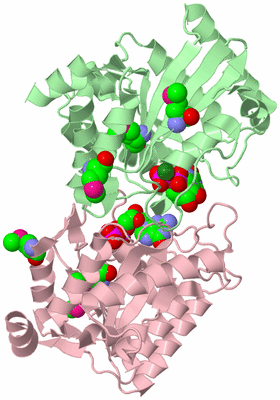 Image Biological Unit 2