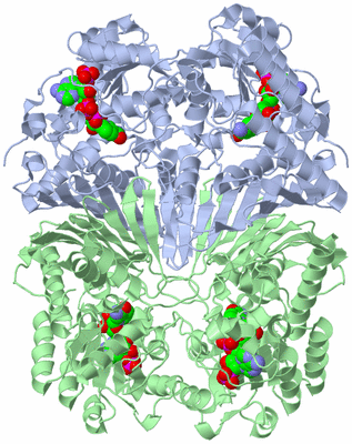 Image Biological Unit 1