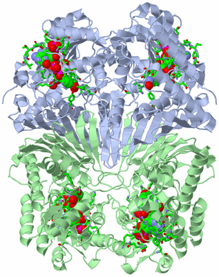 Image Biol. Unit 1 - sites