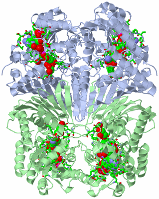 Image Biol. Unit 1 - sites