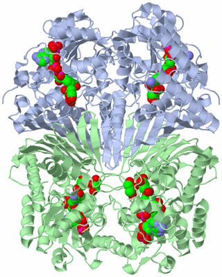 Image Biological Unit 1