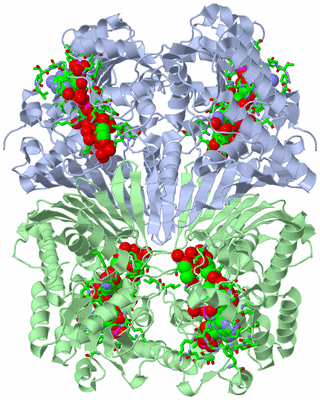 Image Biol. Unit 1 - sites