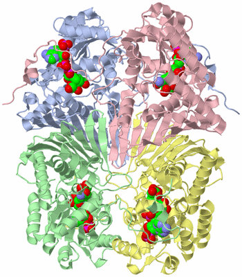 Image Biological Unit 1