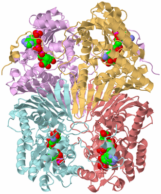 Image Biological Unit 2