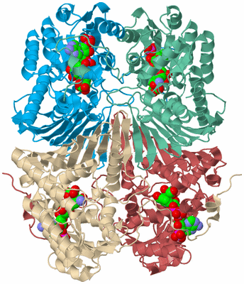 Image Biological Unit 3