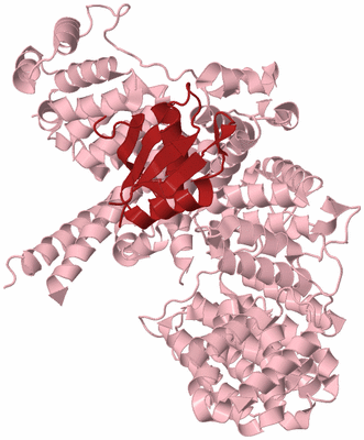 Image Biological Unit 3