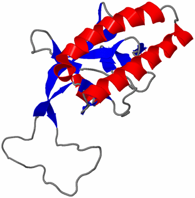 Image NMR Structure - all models