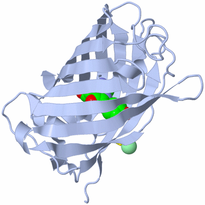 Image Biological Unit 1