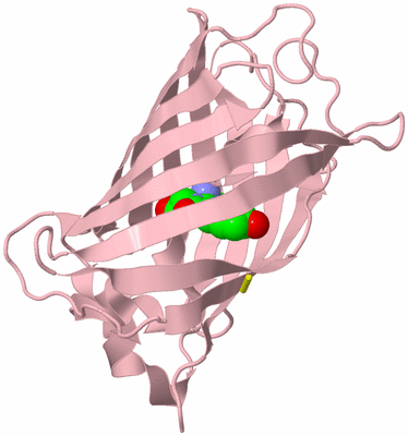 Image Biological Unit 3