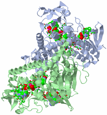 Image Biol. Unit 1 - sites